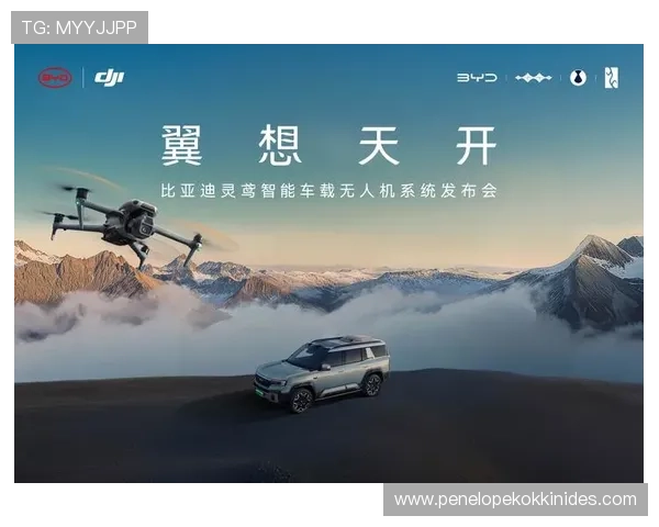 凯发天生一触即发k811111：实现快速启动与高效操作的完美结合