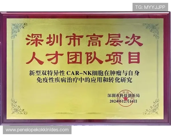 全面解析K8凯发真人国际的游戏特色与用户体验优化方案